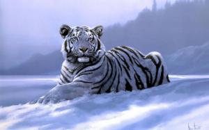Siberian Tiger Snow Animal wallpaper thumb