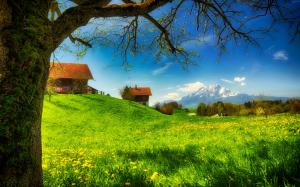Spring greens, houses, grass, mountains, flowers, tree, meadow, sunny wallpaper thumb