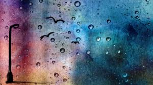 Water Drops Birds Streetlight Colorful HD wallpaper thumb