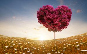Valentine's Day Love Heart Tree wallpaper thumb