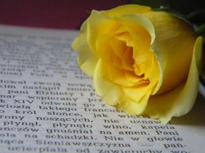 Read The Roses Letter.. wallpaper thumb