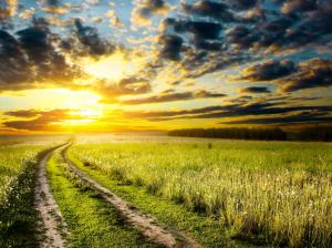 Early summer, sunrise, meadow, grass, road, sky, clouds wallpaper thumb