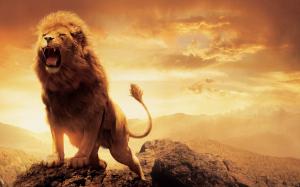 Narnia Lion Aslan wallpaper thumb