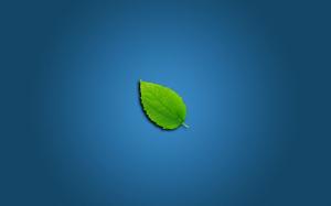 Lonely Leaf wallpaper thumb