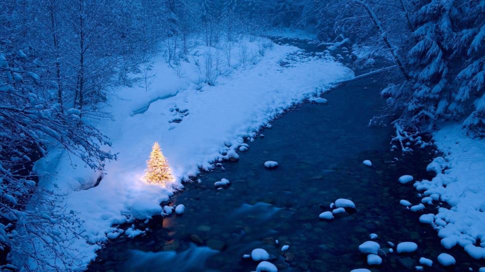 Small Christmas Tree By A Wonderful River wallpaper,tree HD wallpaper,river HD wallpaper,winter HD wallpaper,christmas HD wallpaper,nature & landscapes HD wallpaper,1920x1080 wallpaper