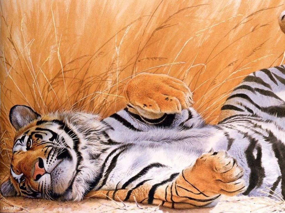 Beautiful tiger art Animals Big Cats cats HD wallpaper,animals wallpaper,art wallpaper,tiger wallpaper,cats wallpaper,big cats wallpaper,1024x768 wallpaper