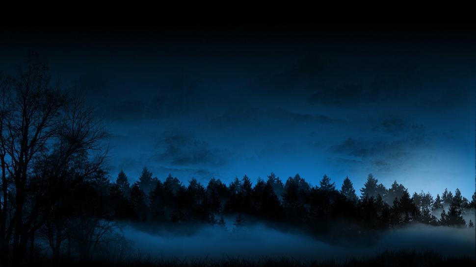 Trees Forest Night Fog Mist Blue Cg Sky High Resolution Pictures wallpaper,trees HD wallpaper,blue HD wallpaper,forest HD wallpaper,high HD wallpaper,mist HD wallpaper,night HD wallpaper,pictures HD wallpaper,resolution HD wallpaper,1920x1080 wallpaper