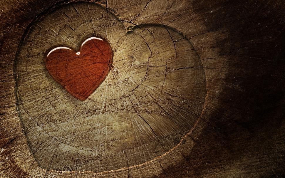 Wood Heart wallpaper,love HD wallpaper,heart HD wallpaper,2880x1800 wallpaper