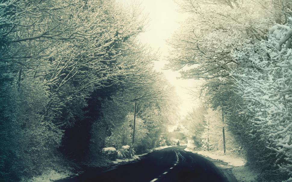 Road, Trees, Snow wallpaper,road HD wallpaper,trees HD wallpaper,snow HD wallpaper,2560x1600 wallpaper