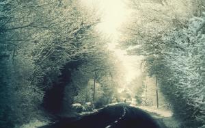 Road, Trees, Snow wallpaper thumb