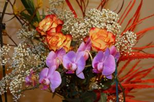 Orange Red Roses Orchids wallpaper thumb