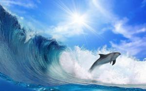 Animal, Dolphin, Fish, Sea, Seawater, Ocean, Blue Sky, Waves wallpaper thumb