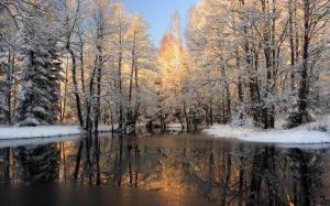Trees Forest Snow Winter Pond Reflection HD wallpaper thumb