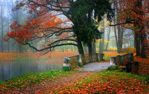 Colorful autumn park wallpaper thumb