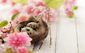 Bird nest with egg and pink flowers wallpaper thumb