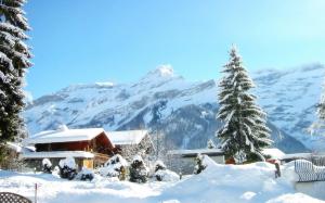 Chalet On A Sunny Winters Day wallpaper thumb