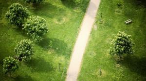 Top view the park, grass, trees, path wallpaper thumb
