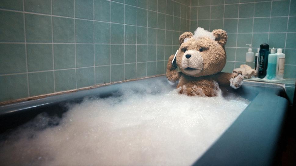Ted taking a Bath wallpaper,ted HD wallpaper,funny HD wallpaper,comedy HD wallpaper,bear HD wallpaper,2560x1440 wallpaper
