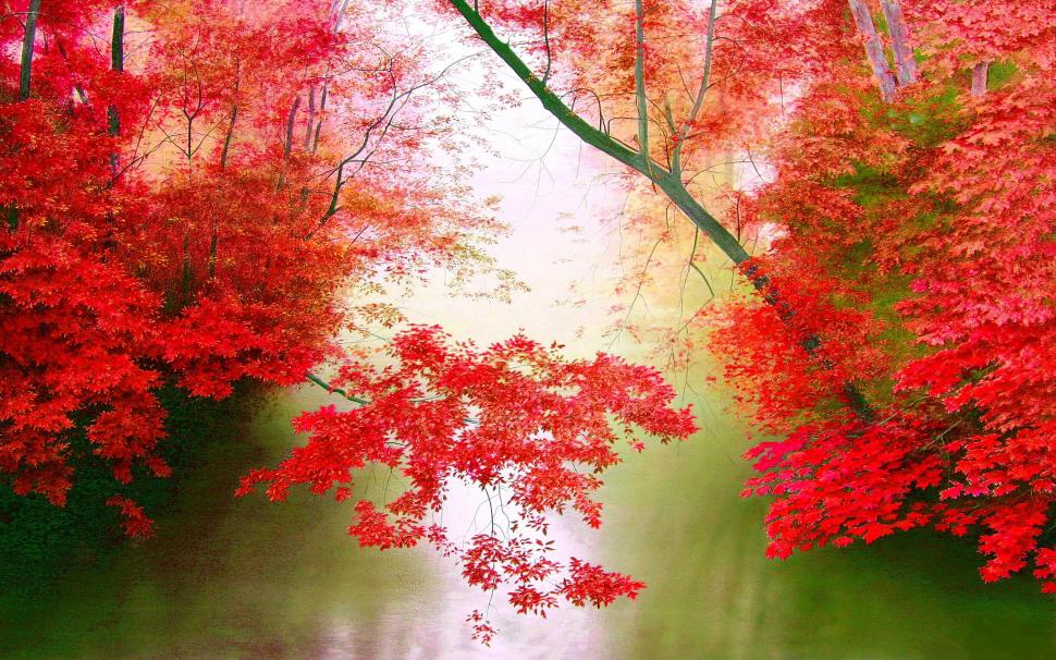 RED LEAVES above the FOREST POND wallpaper,forest HD wallpaper,trees HD wallpaper,leaves HD wallpaper,pond HD wallpaper,2880x1800 wallpaper