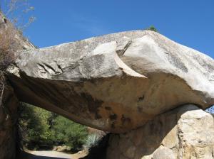 Huge Boulder At Sequoia Park wallpaper thumb