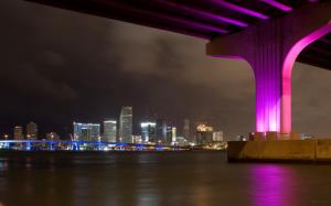 Miami Bridge In Neon Colors At Night wallpaper thumb
