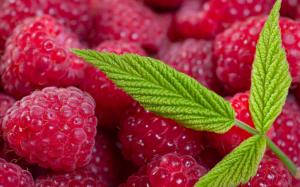 Red raspberry berries, green leaves wallpaper thumb
