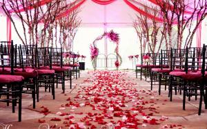Red And Pink Wedding Theme wallpaper thumb