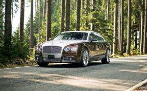 2014 Mansory Bentley Flying SpurRelated Car Wallpapers wallpaper thumb