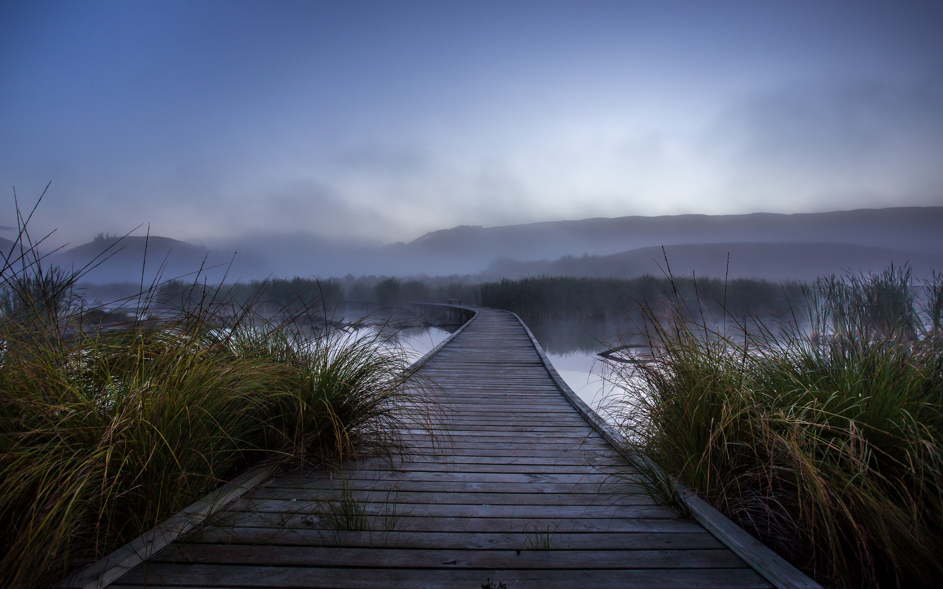 Nature Landscape Mist Morning Walkway Mountain Shrubs Wetland