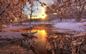 Winter, snow, forest, trees, river, dawn, sunrise wallpaper thumb