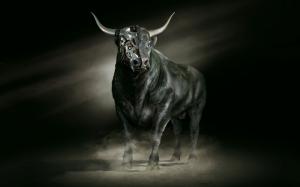 Bull, horns wallpaper thumb
