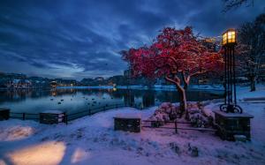 Norway, Rogaland, Stavanger, winter, snow, evening, lights, city, houses wallpaper thumb