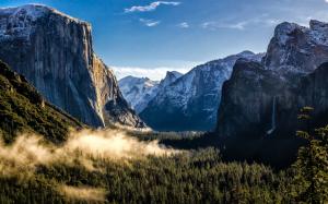 USA, California, Yosemite National Park, mountains, forest, fog wallpaper thumb