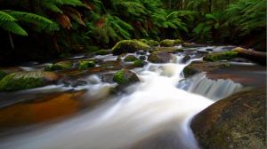 Landscapes Nature Waterfalls Rivers Trees Forest Timelapse High Resolution wallpaper thumb