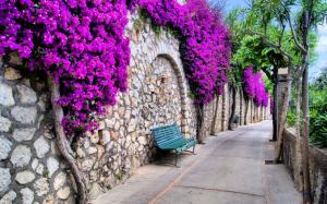 Beautiful city, Italy, streets, trees, flowers, benches wallpaper thumb