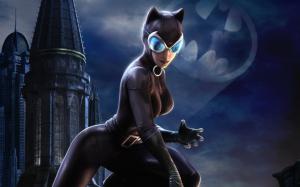Catwoman DC Universe wallpaper thumb