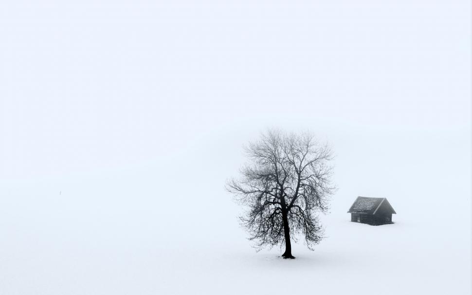 One House And One Tree wallpaper,Winter HD wallpaper,2560x1600 wallpaper