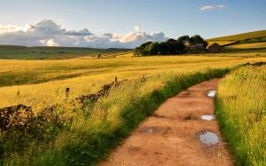 Countryside, England, Britain, fields, road, grass, wind wallpaper thumb
