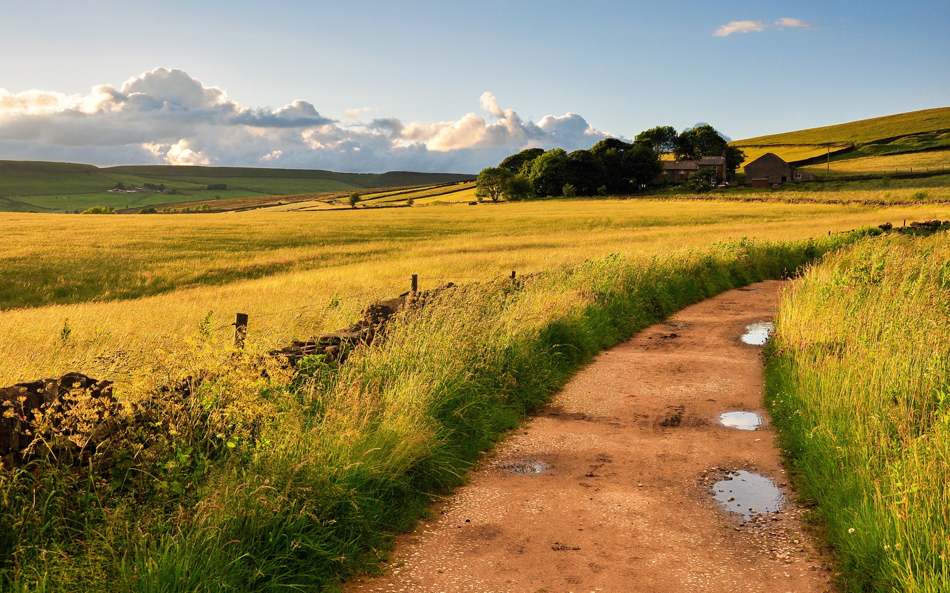 Countryside, England, Britain, fields, road, grass, wind wallpaper