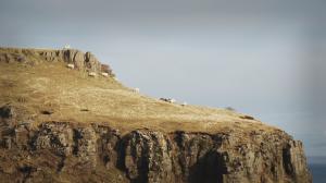 Sheep Cliff HD wallpaper thumb