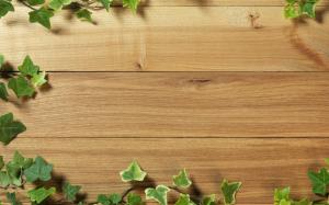 Ivy on wooden fence wallpaper thumb