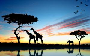Africa giraffe and elephant at sunset, lake reflection wallpaper thumb