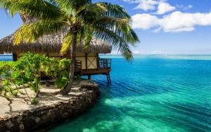 Maldives, hut, palm tree, sea water wallpaper thumb