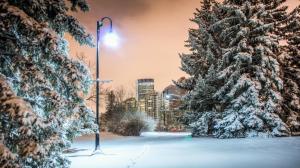Wondrous Winter In A City Park Hdr wallpaper thumb