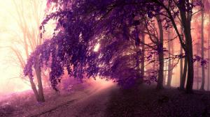 Forest, mist, road, trees, leaves, purple style wallpaper thumb