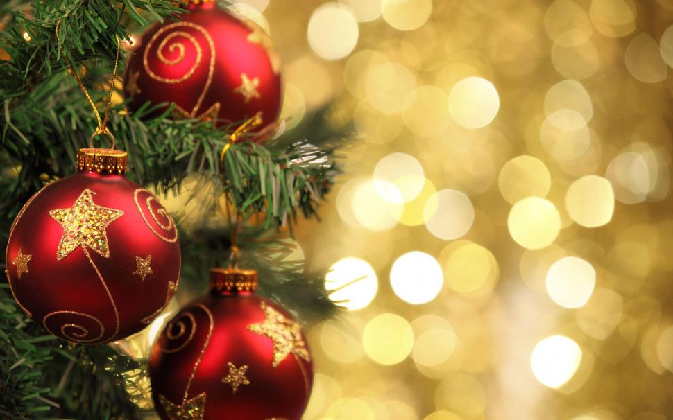 Christmas Tree close-up wallpaper,holidays HD wallpaper,2560x1600 HD wallpaper,light HD wallpaper,christmas HD wallpaper,merry christmas HD wallpaper,decoration HD wallpaper,2560x1600 wallpaper