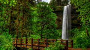 Waterfall in green forest wallpaper thumb