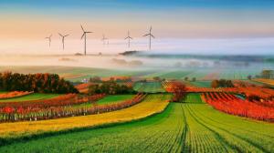 Nature, Landscape, Trees, Clouds, Field, Mist, Hill, House, Vineyard, Wind Turbine wallpaper thumb