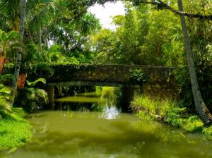 Park, tropics, pond wallpaper thumb
