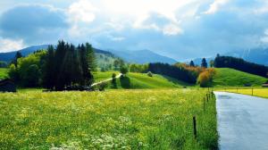Beautiful scenery, roads, small houses, flowers, forests, woods, green grass, wallpaper thumb